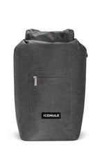 Load image into Gallery viewer, Icemule Jaunt Cooler, 15L Large