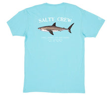 Load image into Gallery viewer, Salty Crew Bruce Premium tee (blue or sage or oatmeal)

